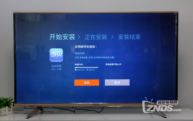 杨树苗种植案例分享：探索绿色未来